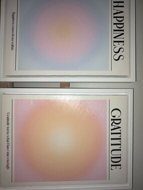 Set of 2 Framed Gradient Prints - 'Gratitude' & 'Happiness' - Pink Peach Blue